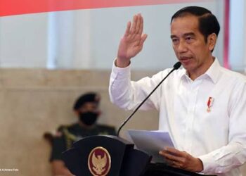 Presiden Jokowi Bangun Memorial Park IKN