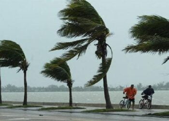 Angin Kencang di Pasaman Makan Korban