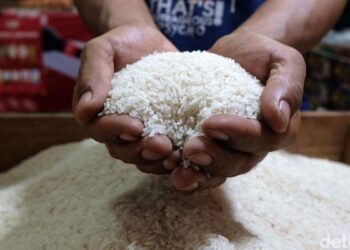 Harga Beras di Padang Mulai Naik Sejak Dua Minggu Lalu