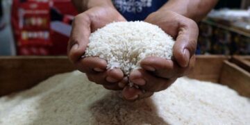 Harga Beras di Padang Mulai Naik Sejak Dua Minggu Lalu