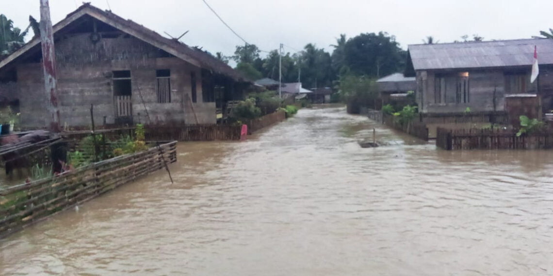 Banjir di Mentawai, Ketinggian Air Capai Satu Meter