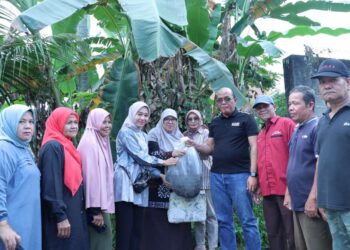 Lewat Dana Pokir, Ketua DPRD Sumbar Serahkan Benih dan Bibit Lele ke Pokdakan Koto Panjang