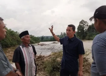 Reses Ali Muda di Lubuk Gobing, Warga Minta Pembangunan Jembatan