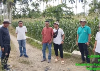 Wujudkan Pasaman Sebagai Lumbung Beras, Ketua Komisi II DPRD Sumbar Arahkan Anggaran untuk Pembangunan JUT