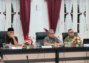 Terkait Pemulihan Pasca Bencana, Muhidi Desak Pemprov Sumbar Tetapkan Pendataan