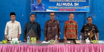 Anggota DPRD Sumbar Ali Muda Dorong Pemanfaatan Perda Tata Kelola Komoditas Unggulan Perkebunan di Rao