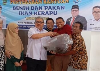 Ketua DPRD Sumbar Serahkan Bantuan Benih Ikan di Teluk Buo
